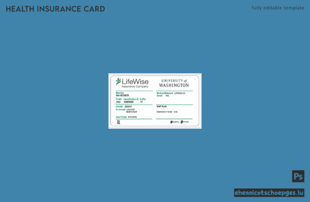 USA University of Washington LifeWise Firmenkrankenversicherungskarte – Beispielvorschau